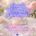 Bundle Ménage de Printemps