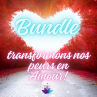 Bundle Transformons nos peurs en Amour