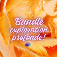 Bundle Exploration Profonde!
